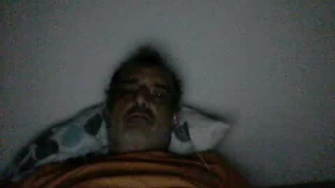 gamane3575 online show from August 2026 08:46:01 AM