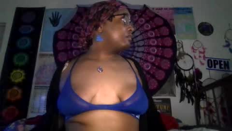 Gardenia online show from March 2026 09:16:01 AM