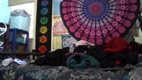 Gardenia online show from March 2026 11:38:01 PM