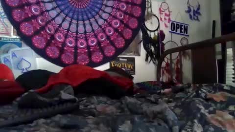 Gardenia online show from April 2026 10:24:02 AM