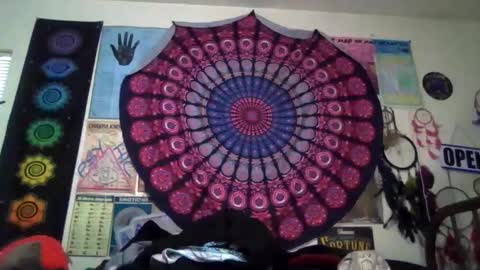 Gardenia online show from April 2026 11:13:02 PM