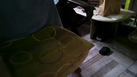 Snapshot of gazdadoka chatting on March 2025 08:51:02 AM gazdadjoka online show from March 2025 08:51:02 AM