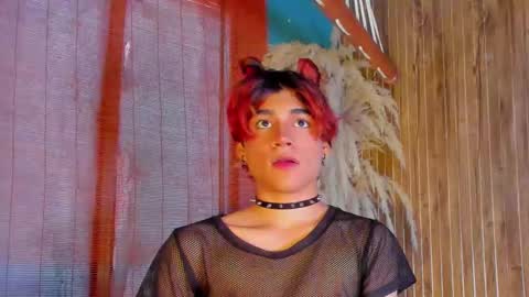 HAN online show from January 2026 01:16:02 PM