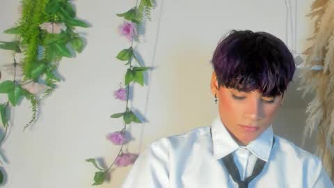 HAN online show from February 2026 02:00:02 PM