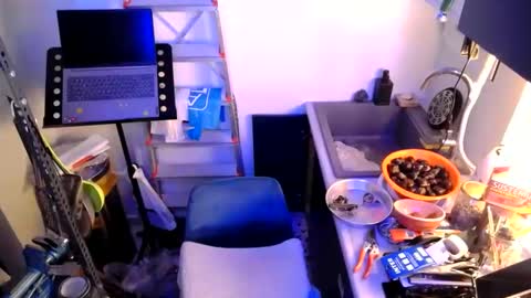 Snapshot of georgempt chatting on January 2025 07:42:01 PM georgempt online show from January 2025 07:42:01 PM