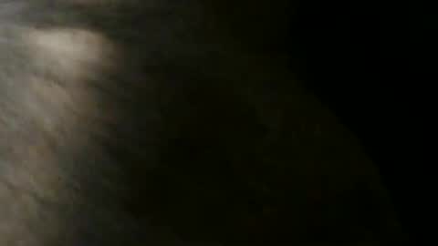 Snapshot of gericke218 chatting on June 2026 05:57:01 PM Ball-torture online show from June 2026 05:57:01 PM