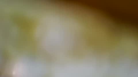 germanandy71 online show from November 2025 09:41:02 AM