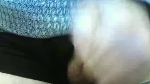 Snapshot of germandaddydick1 chatting on June 2026 03:29:01 PM germandaddydick1 online show from June 2026 03:29:01 PM