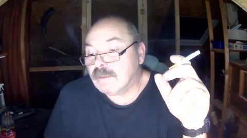 germany_50 online show from January 2025 12:41:01 AM