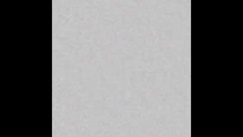 Gia online show from January 2025 11:35:01 AM