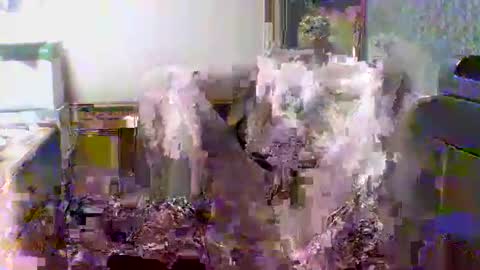 giann005 online show from March 2026 03:28:01 PM