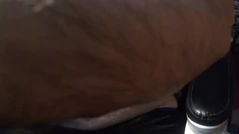 Gianni9000000 online show from February 2026 02:43:02 PM