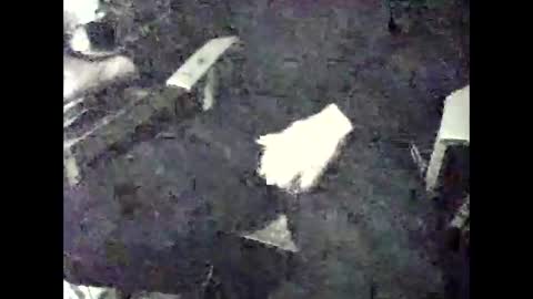 Snapshot of giftedbiker11 chatting on December 2024 07:16:02 AM giftedbiker online show from December 2024 07:16:02 AM