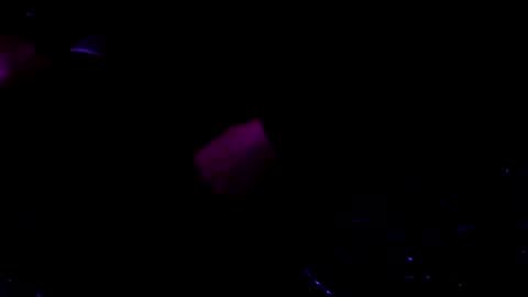 Snapshot of giftedbiker11 chatting on January 2025 06:17:01 AM giftedbiker online show from January 2025 06:17:01 AM