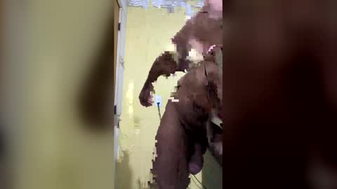 gifted online show from April 2026 07:31:01 AM