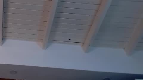 gigi wilden online show from February 2025 08:20:02 PM