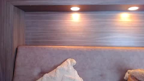 gigi wilden online show from September 2025 02:06:02 PM