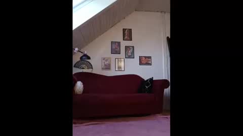 Gina online show from March 2025 08:30:01 AM