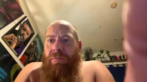 Snapshot of gingeriginal chatting on May 2026 04:04:01 PM gingeriginal online show from May 2026 04:04:01 PM