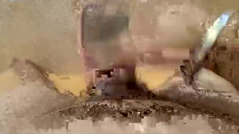 Giovanefu5 online show from September 2025 06:15:02 AM