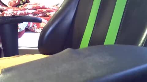 big cock baby online show from March 2026 07:35:02 AM