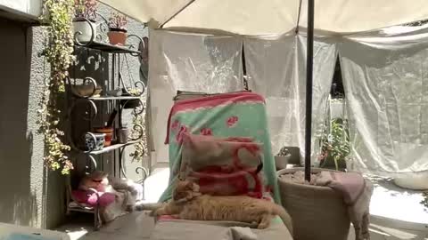 Gl1tter Barbie online show from November 2025 08:57:02 AM