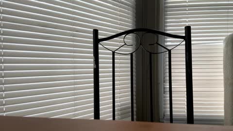 glazehoney online show from January 2025 05:02:01 PM