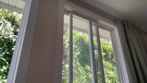 globalmovement online show from April 2026 07:55:02 PM