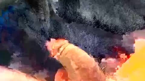 Snapshot of gman41000 chatting on December 2024 03:25:02 AM Gman online show from December 2024 03:25:02 AM