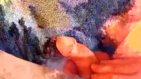 Snapshot of gman41000 chatting on March 2025 06:27:01 AM Gman online show from March 2025 06:27:01 AM