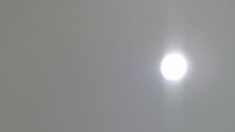 goath_08 online show from February 2025 10:41:01 PM