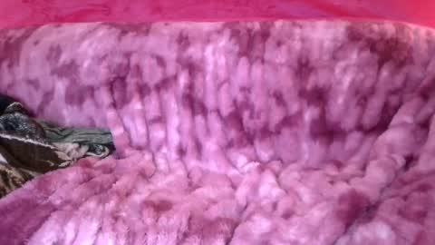 Snapshot of goddess_aaliyah chatting on December 2024 10:53:02 AM goddess_aaliyah online show from December 2024 10:53:02 AM