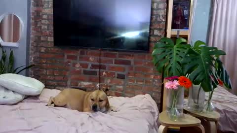 Goodess Jojo online show from April 2026 01:15:01 AM