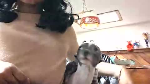 goddessxxamina online show from January 2026 04:29:02 AM