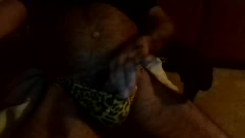 Snapshot of gojo885 chatting on January 2025 03:23:02 AM gojo885 online show from January 2025 03:23:02 AM