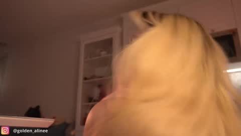 Snapshot of golden_alinee chatting on February 2025 09:59:01 PM Aline meow   online show from February 2025 09:59:01 PM