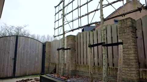 Snapshot of goldenelixxxir chatting on February 2025 10:09:02 AM   online show from February 2025 10:09:02 AM