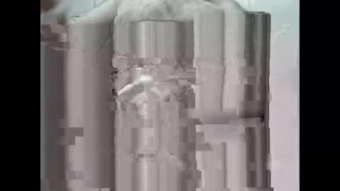 Snapshot of goodspeed268376 chatting on December 2024 11:44:01 AM goodspeed268376 online show from December 2024 11:44:01 AM