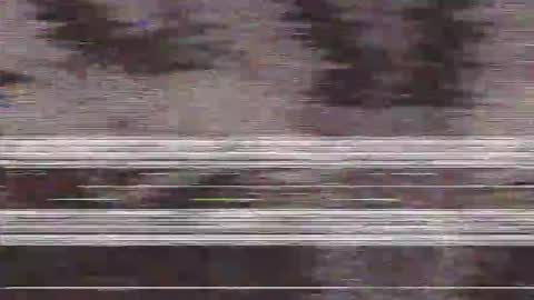        online show from November 2025 01:55:02 PM