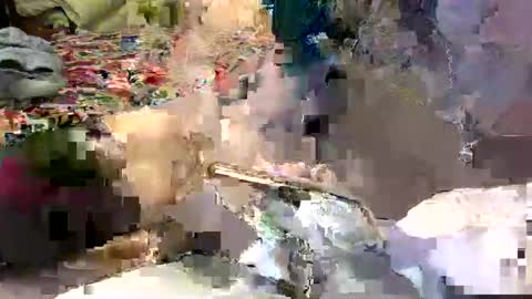 Lisa online show from January 2025 03:35:01 AM