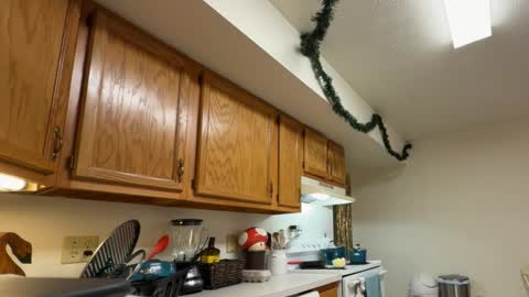 gucciboi4 online show from November 2025 07:35:02 PM