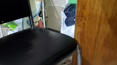 guillermo723 online show from April 2026 02:33:02 AM