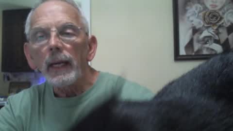 Roy online show from February 2025 03:45:02 PM