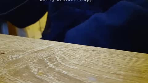 Snapshot of gullu8979 chatting on September 2025 10:56:02 PM Franky online show from September 2025 10:56:02 PM