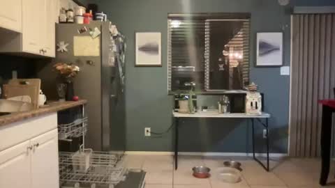 guyduder online show from November 2025 02:54:02 AM