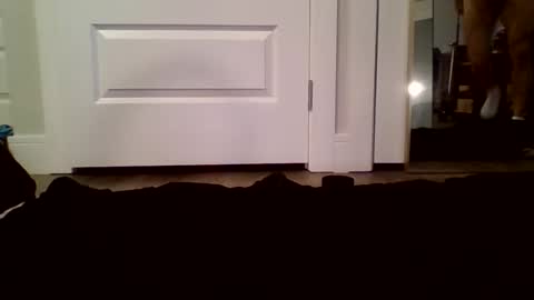 Guy Spartan online show from January 2026 05:07:02 PM