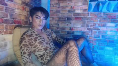 SAM online show from December 2024 02:59:01 PM