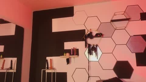 haileycat_ online show from January 2025 12:27:02 AM