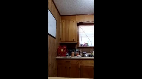 hailstorm32 online show from April 2026 06:54:02 PM