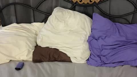 Snapshot of haily_braind chatting on February 2026 02:53:01 AM Lylu online show from February 2026 02:53:01 AM